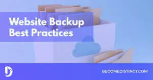 Distinct Website Backup Best Practices