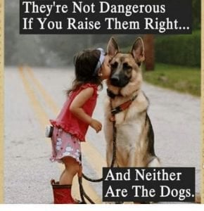 little girl holding a leash kissing a german shepard