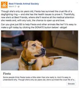 dog for adoption best Friends Animal Society